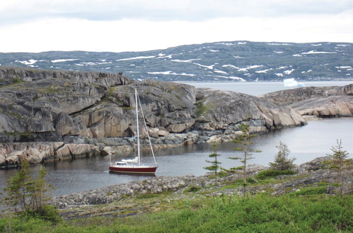 Joyant In Labrador