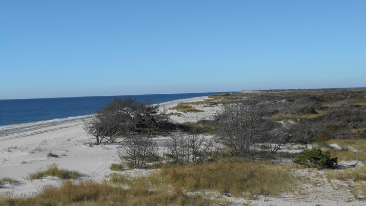Great South Bay