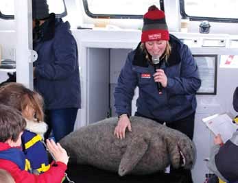 Homeschool is Cool on Narragansett Bay