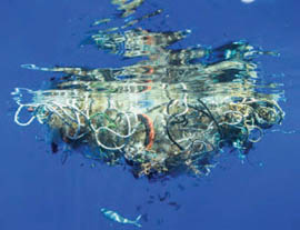 Update on Plastic Gyres Science by SEA