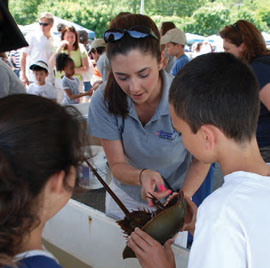 The WaterFront Center’s Bay Day