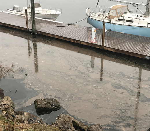 The Rise and Fall of Black Rock Harbor