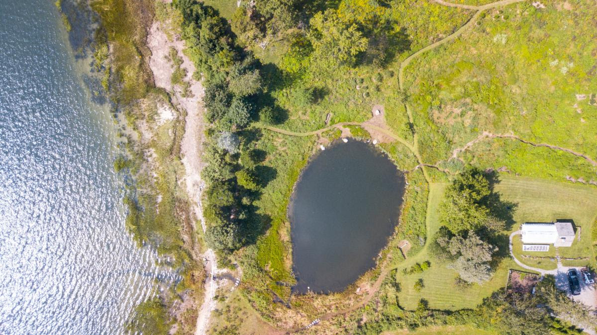 An Art Experience Unlike Any Other: Oakcliff Sailing’s MeadowWalk is Saturday, September 14