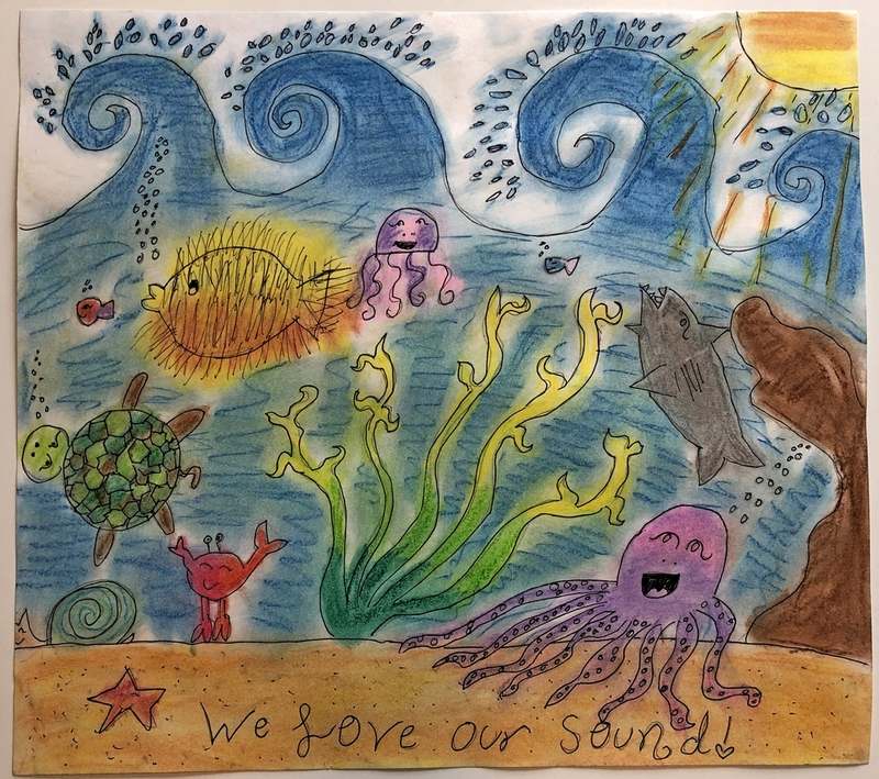 NESS Drawing Contest: Long Island Sound and its Watershed