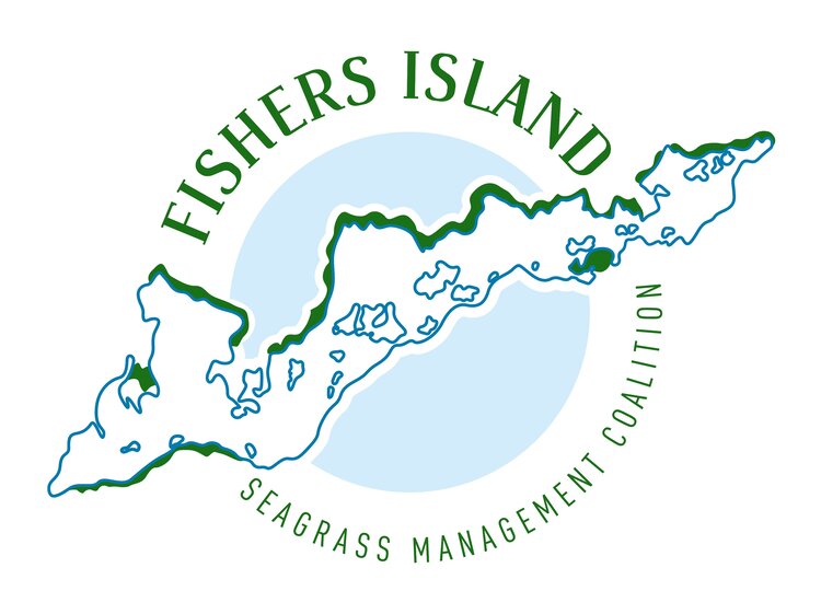 Local Knowledge Wanted! Fishers Island Seagrass Webinar is Monday, August 10