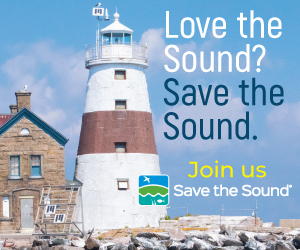Save The Sound