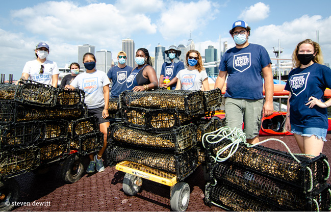 Billion Oyster Project looks to engage one million people in restoring one billion oysters to New York Harbor
