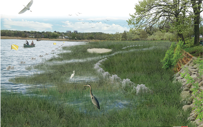 A Living Shoreline for Big Rock