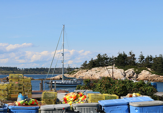 An Unexpected Maine Cruise