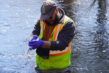 The Spring Fish Run is Underway!