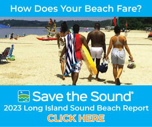 Save The Sound Beach Report Box 23