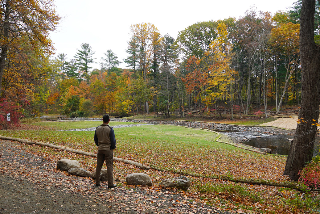 Restoring Regional Habitat by Removing Dams