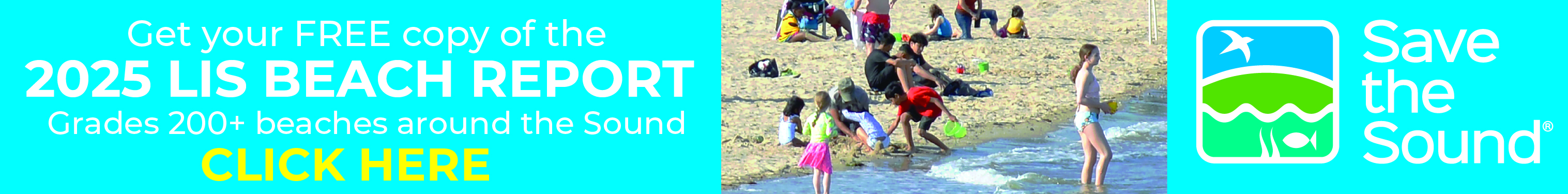 Beach Report 2025 Banner